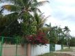 2009_02070026.JPG