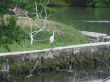 2009_02070035.JPG