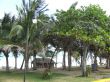 2009_02070175.JPG