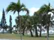 2009_02120056.JPG