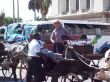 Picture_060.jpg