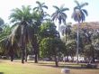 Picture_240.jpg