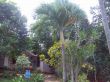 Picture_528.jpg